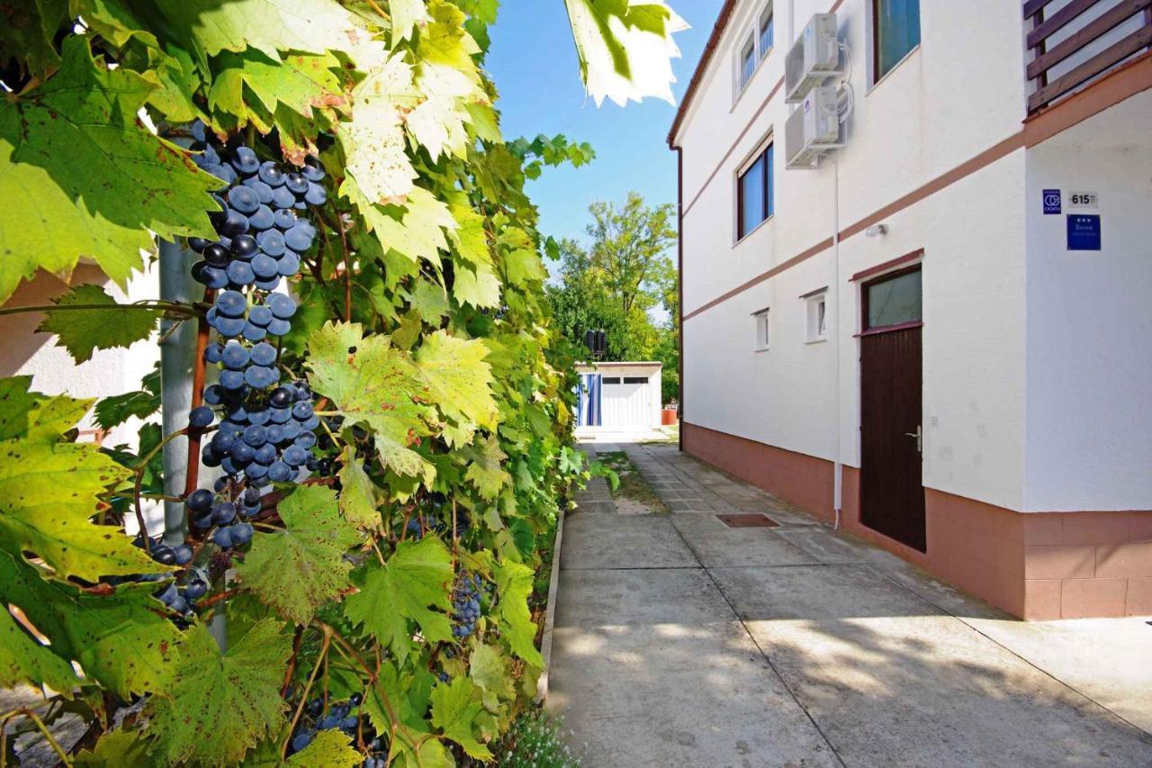Apartments In Sabunike/Zadar Riviera 7812 Nin Buitenkant foto